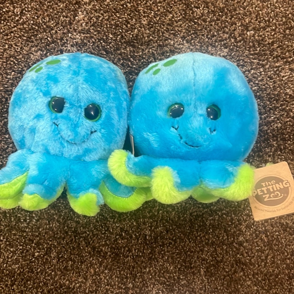Petting zoo octupus